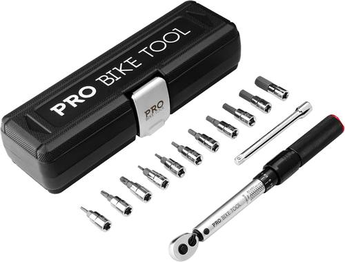 PRO BIKE TOOL Bike Torque Wrench Set - 1/4 Inch Drive, 2.2-16.9 Nm